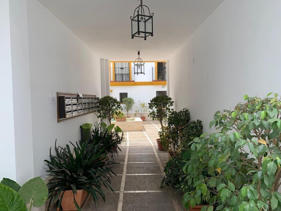 apartamento con parking plaza del museo Sevilla Exterior foto